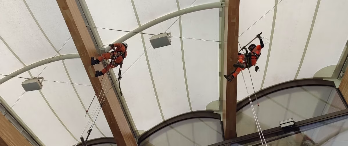 Specialist clean-up crew gets bird’s-eye view of Lord’s Cricket Ground