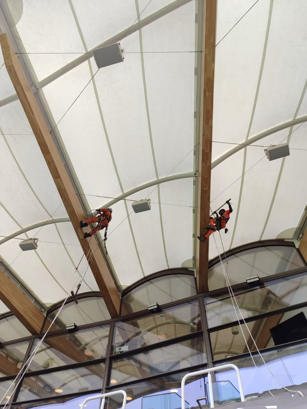 Howzat! Specialist clean-up crew gets bird’s-eye view of Lord’s